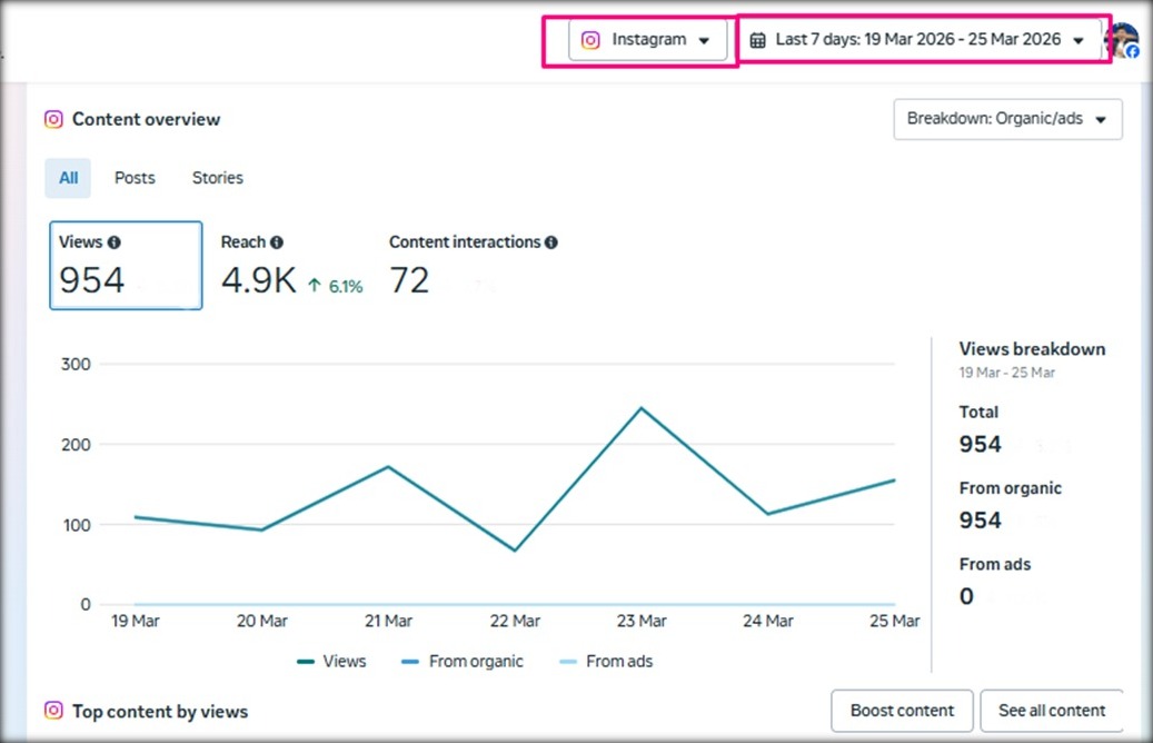 Instagram Content Overview